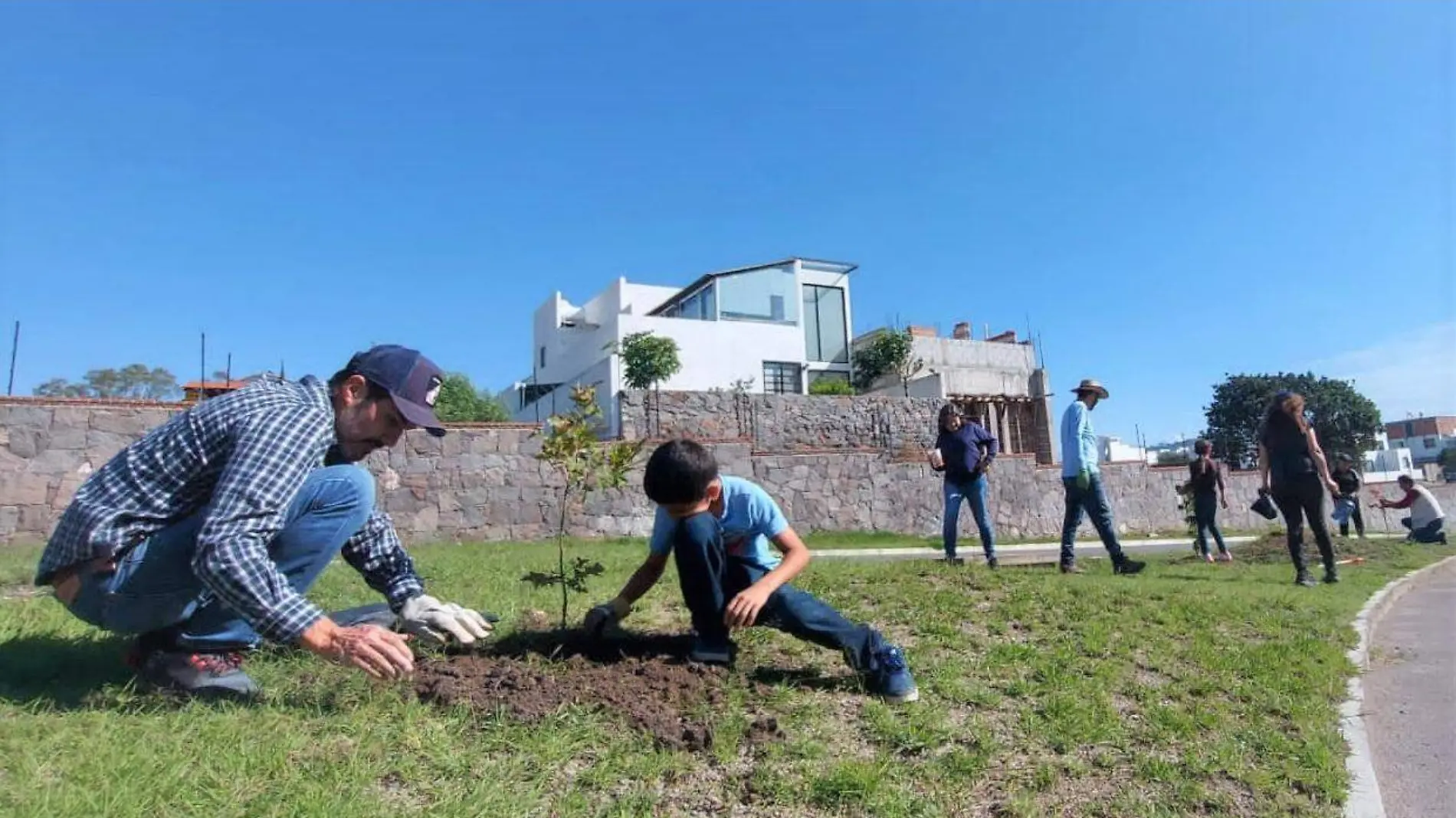 Importante labor de reforestación de los vecinos de Haras